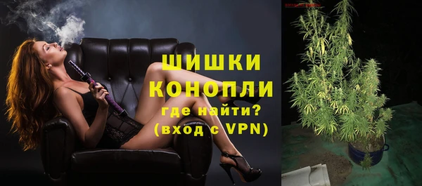 гидра Корсаков