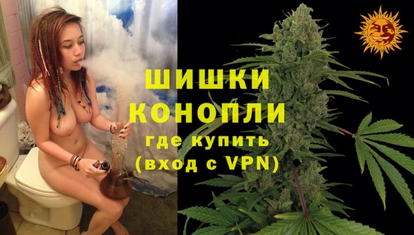 винт Костерёво