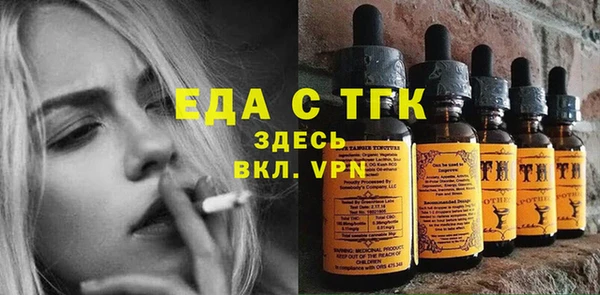 гидра Корсаков