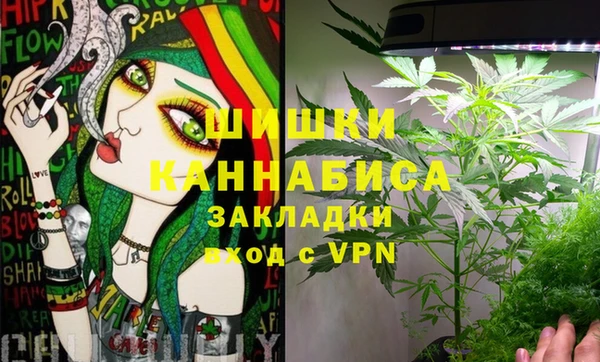 винт Костерёво