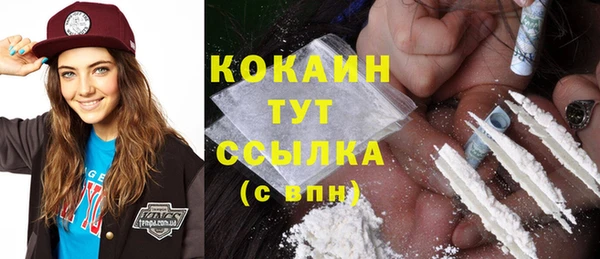 гидра Корсаков