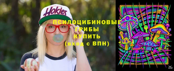 винт Костерёво