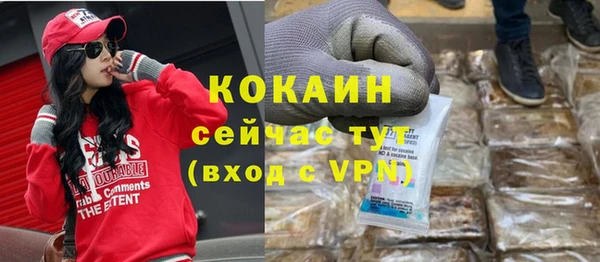 гидра Корсаков